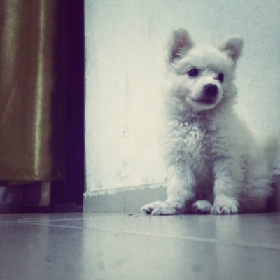 fred74008's profile picture. basically a pookies