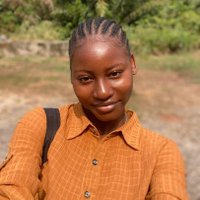 Chisom Ogugua (@digitalchisom1) 's Twitter Profile