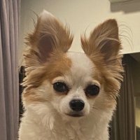 Pga Trader (@pgatrader) 's Twitter Profile