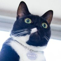 욍 (@wwio_gu) 's Twitter Profile