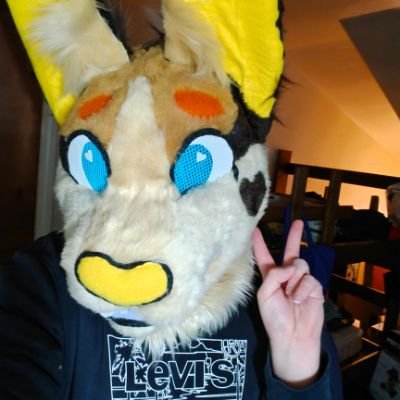 dog thing, CompE student, AuDHD :3 🐿️
23 MDNI 🔞 (suggestive)
🐕🦺🌲🖥️^_^