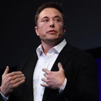 Elon (@elon1131) 's Twitter Profile