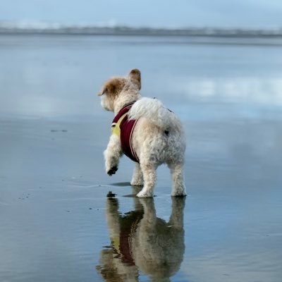 coinedCharms's profile picture. Musician | Developer | Crypto Enthusiast