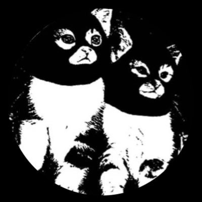 Difusión y gatit@s, principalmente gatit@s / Difusion & kittens, mostly kittens #FreePalestine
