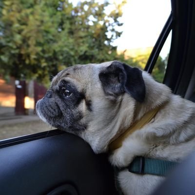 97Carlin's profile picture. 