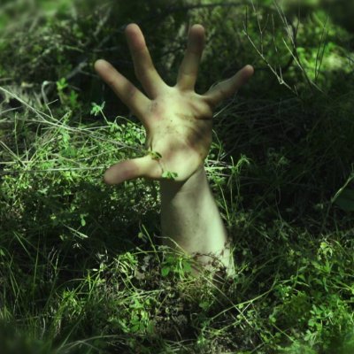 sourcemate89042's profile picture. 