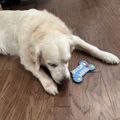 Spike_1567's profile picture. “It’s not what you buy, It’s the price you pay” - Howard Marks