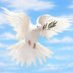 Stay Pure (@purep24230) Twitter profile photo Stay Pure (@purep24230) Twitter profile photo