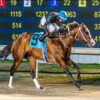 Jonathan Wong Racing Stables (@jawongracing) 's Twitter Profile
