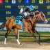 Jonathan Wong Racing Stables (@jawongracing) Twitter profile photo Jonathan Wong Racing Stables (@jawongracing) Twitter profile photo