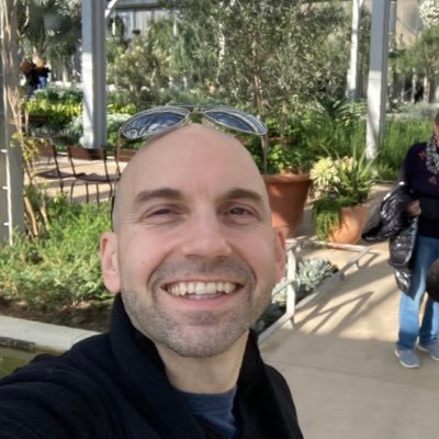 mgsilveri's profile picture. 