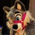 July Husky @ FWA. (@july_husky) Twitter profile photo July Husky @ FWA. (@july_husky) Twitter profile photo
