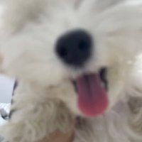 zzanvlrt (@zzanvlrt) 's Twitter Profile Photo zzanvlrt (@zzanvlrt) 's Twitter Profile Photo