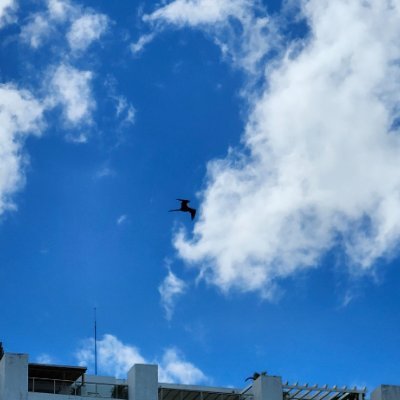 VForoughirad's profile picture. @vforoughirad.bsky.social