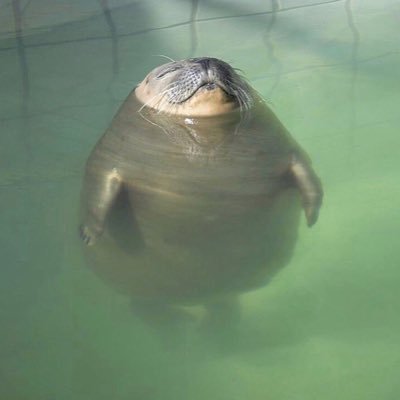 scmyka's profile picture. 