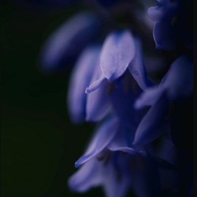 khloe_playss's profile picture. FREE PALESTINE!!!!! that one twitch chatter