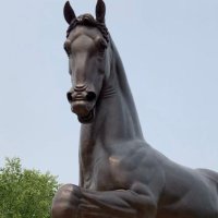 Rook (@rookhardt) 's Twitter Profile