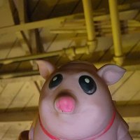 storeboy. (@robm_oscars) 's Twitter Profile Photo storeboy. (@robm_oscars) 's Twitter Profile Photo