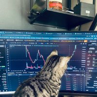 BigDig (@digbawg) 's Twitter Profile