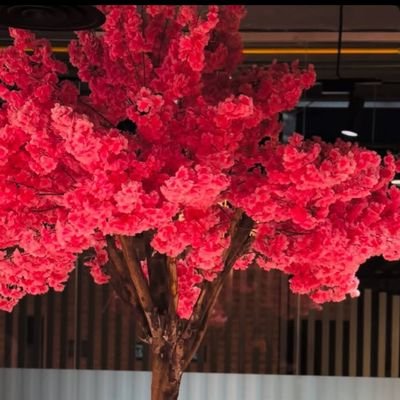 Manalyuss2030's profile picture. 🇸🇦🇸🇩#أبوي الله يرحمگ، #أمي ربي يحفظگ 

#يارب استجيب لـ دعوات قلبي ومافيه يارب🤲