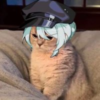 Donglin (@donglin516850) 's Twitter Profile