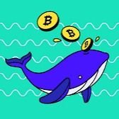 Crypto Whale 🐳 (@1cryptow) 's Twitter Profile