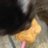 sizu1723060516