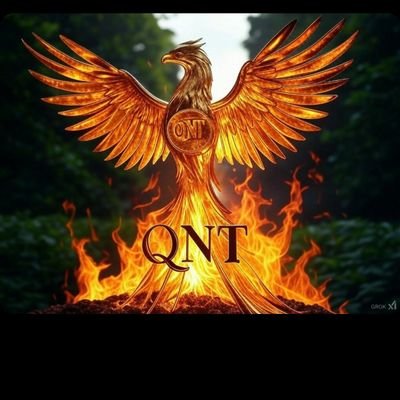 Nicholias8's profile picture. Buy Quant Before it's too late!