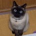 シン 哲学式 道想考理の備忘録 (@sin__lye0m37743) Twitter profile photo シン 哲学式 道想考理の備忘録 (@sin__lye0m37743) Twitter profile photo