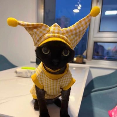 Grove_Guardian's profile picture. I-uhh…the square hole!