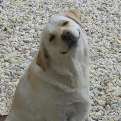 Kabilさんのプロフィール画像