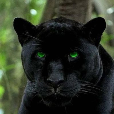 Married 37 years. I love cats, BonJovi & the beach. I'm just a sinner saved by grace! #MAGA 🇺🇸 trump2024 #walkaway ❌❤️NO DMs!