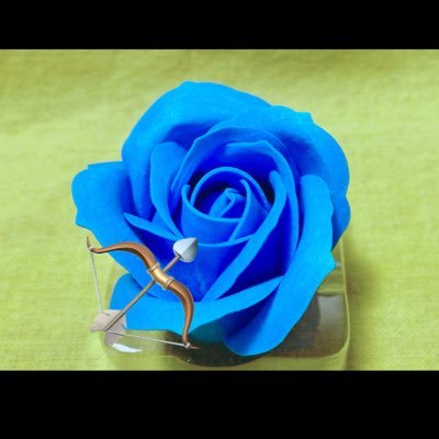 hy_trts's profile picture. 1人になったケンティー💙をU:nityとして応援します(親世代だけど😅)4人の成人息子を育てきりこれからは推し事で楽しむと決めた❣️♨️🍄