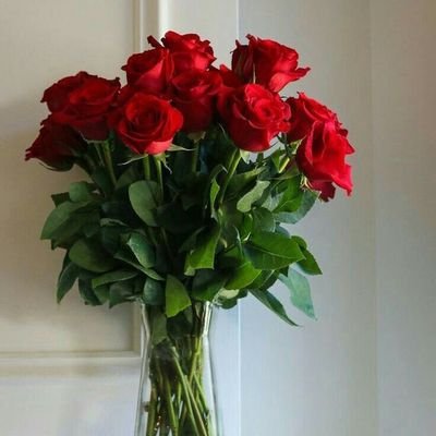 JOEGRAC60767627's profile picture. Born Ogheneruonano Grace Jonathan. 
Lover of Jesus, Literary works, Nature and more. . . 

Ephesians 6 vs 12: For we wrestle not against flesh or blood. . .
