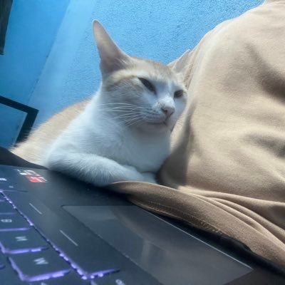 rawat_official_'s profile picture. Awake, not woke 🙅‍♂️✨. Politics, tech, gym and memes 🏏 - my take, my way. Opinions are mine, and so are my interests || राधा-कृष्ण ||