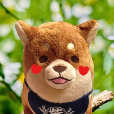tokakukonoyo's profile picture. 
