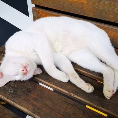 WxH's profile picture. Reach me @wxh@fosstodon.org in fediverse
