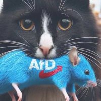 Stray Cat 🇩🇪🇪🇺🌻 (@saalbachaxel) 's Twitter Profile
