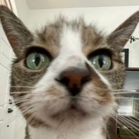 I love you. Platonically. (@specifically_u) 's Twitter Profile Photo I love you. Platonically. (@specifically_u) 's Twitter Profile Photo