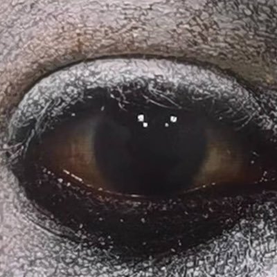 wuxi0807's profile picture. 