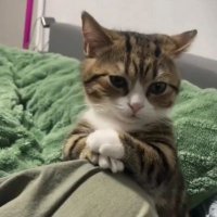 dddddf (@omeremrectlll) 's Twitter Profile Photo dddddf (@omeremrectlll) 's Twitter Profile Photo