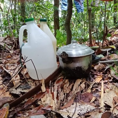 migo_elias's profile picture. naglalakbay, nakikibagay