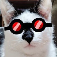 Jelipe fonk (@07felipefonk70) 's Twitter Profile
