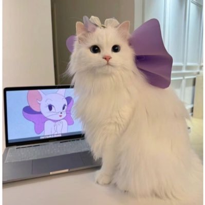 soccer200003's profile picture. ♡#71#14♡