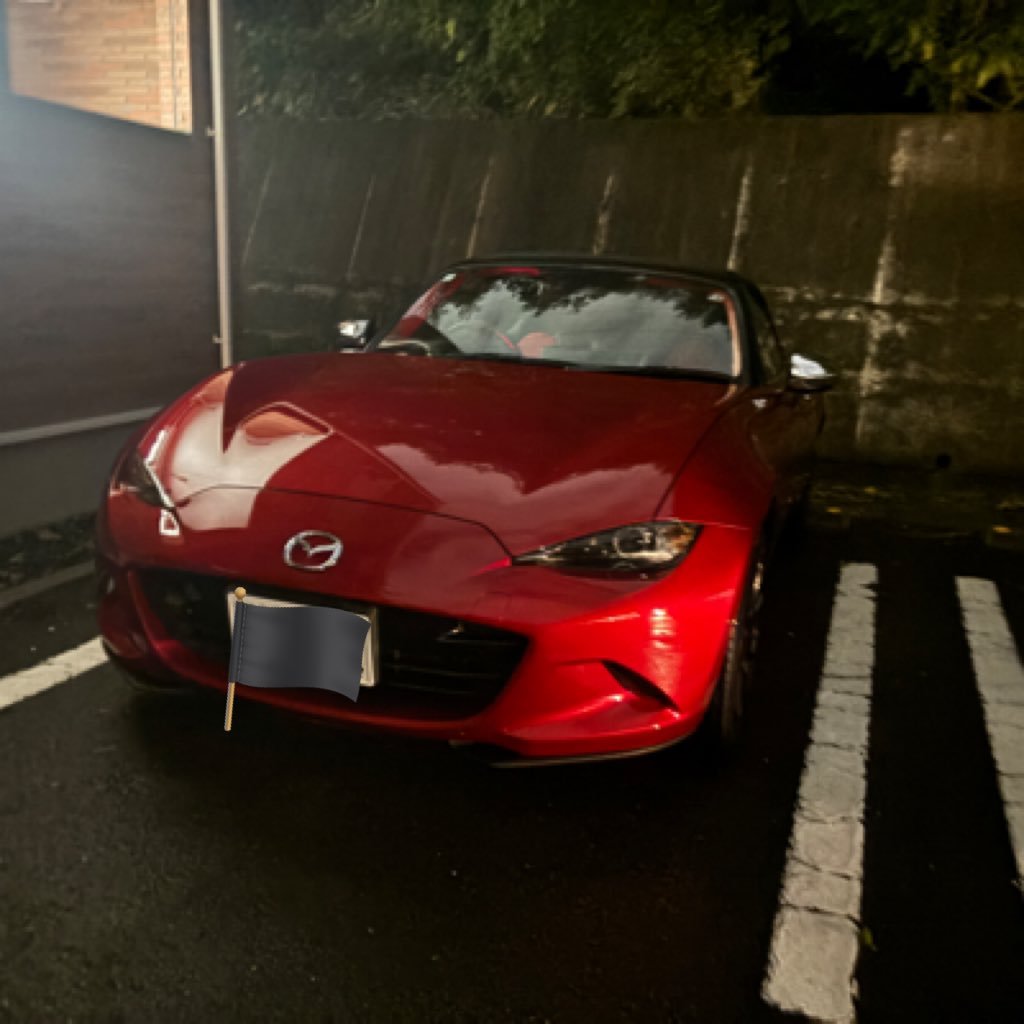 paul_pole_t's profile picture. 🇯🇵🇦🇺🇵🇭🇲🇾🇩🇪🇦🇹🇧🇷