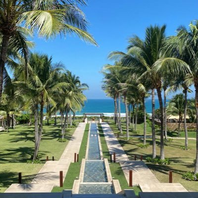 QuyNguy95652467's profile picture. 