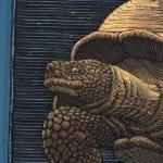 Turtle Burtle (@tburtlegent) 's Twitter Profile