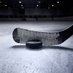 Hokejové přestupy 🏒 (@prestupyhokej) Twitter profile photo Hokejové přestupy 🏒 (@prestupyhokej) Twitter profile photo