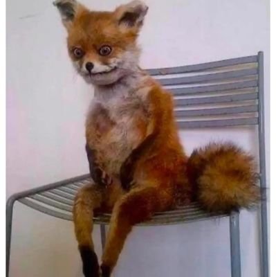 SheisBehi's profile picture. HER.