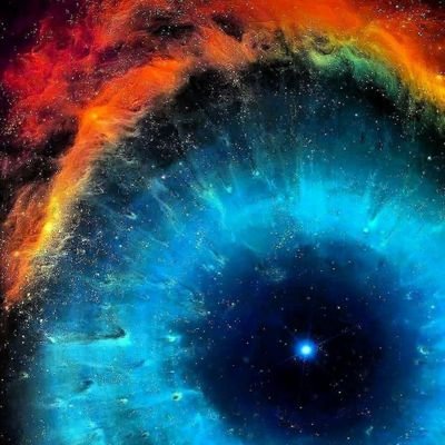 sinhs442's profile picture. 